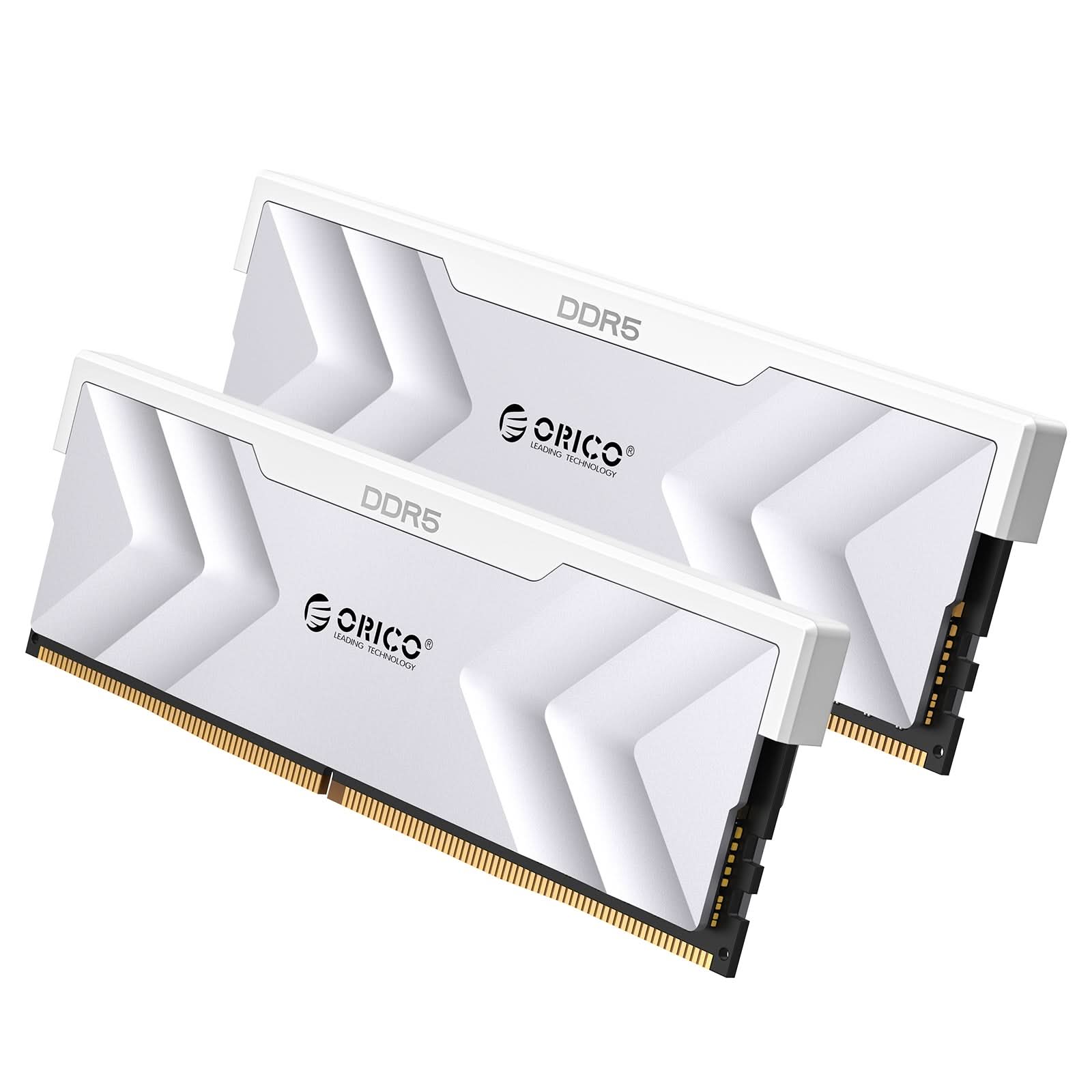 ORICO Raceline Champion DDR5 DIMM Gaming RAM - Orico