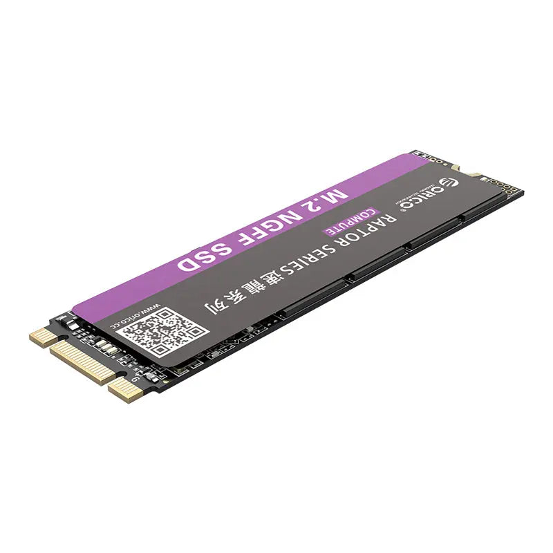 ORICO Raptor Series M.2 NGFF 2280 SSD Orico