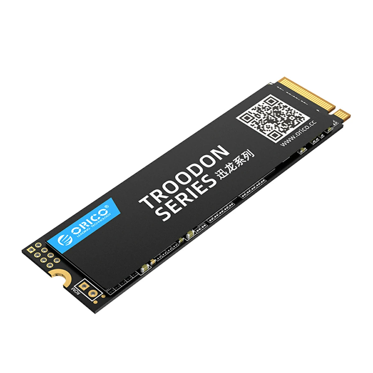 ORICO Troodon Serie V500 2280 M.2 NVMe SSD