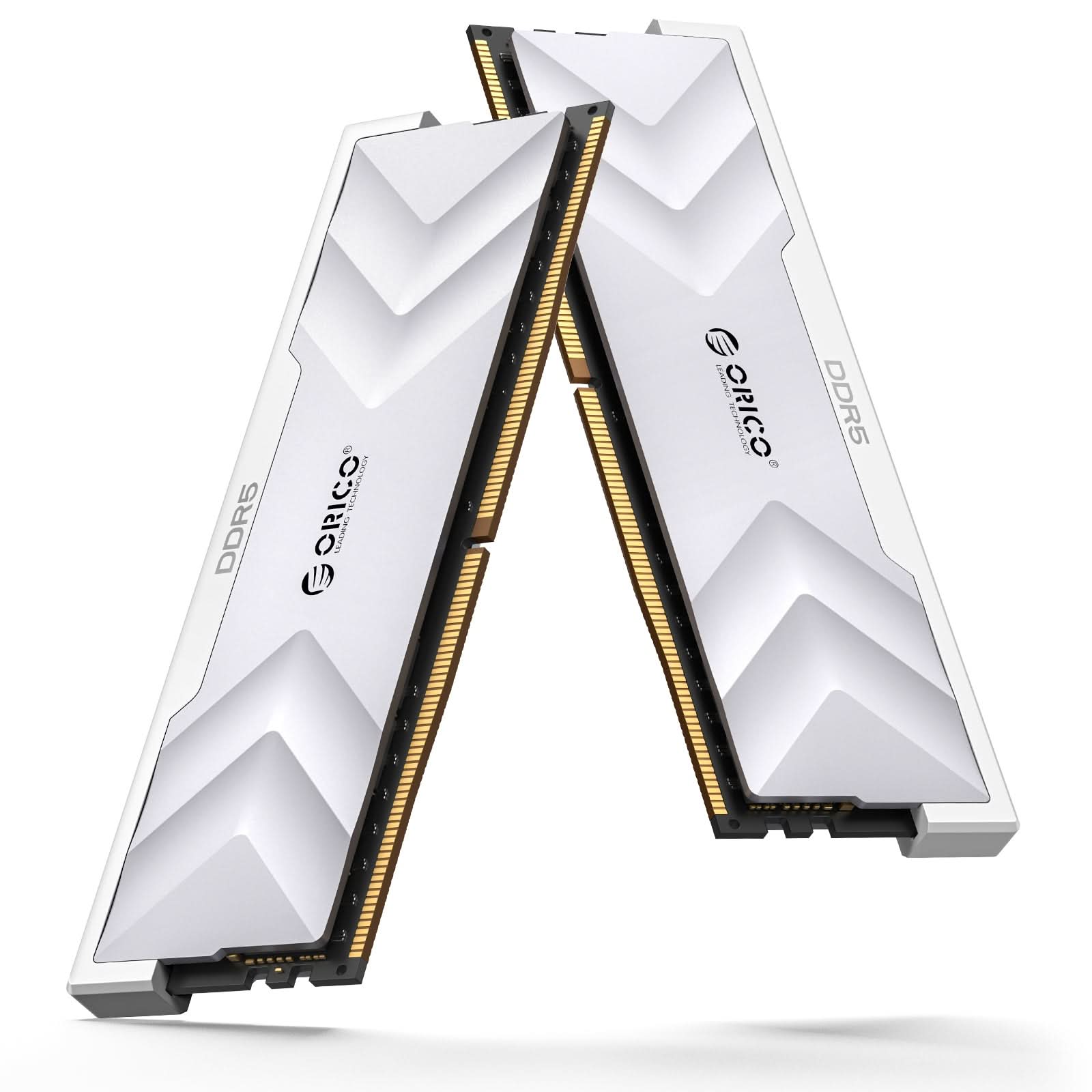 ORICO Raceline Champion DDR5 DIMM Gaming RAM - Orico