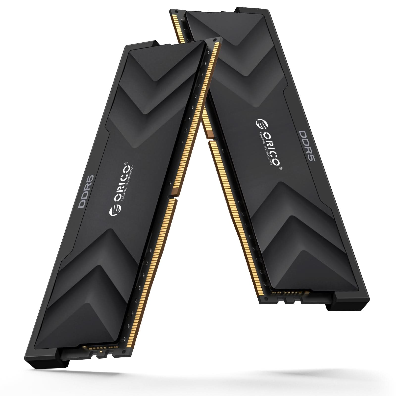 ORICO Raceline Champion DDR5 DIMM Gaming RAM - Orico